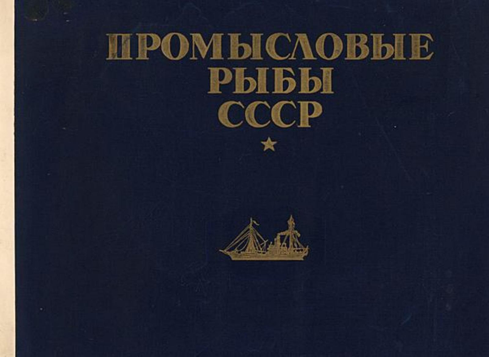 Промысловые рыбы СССР | Нет автора