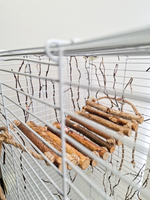 Лестница для попугаев и грызунов