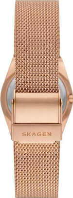 Женские наручные часы Skagen SKW3035