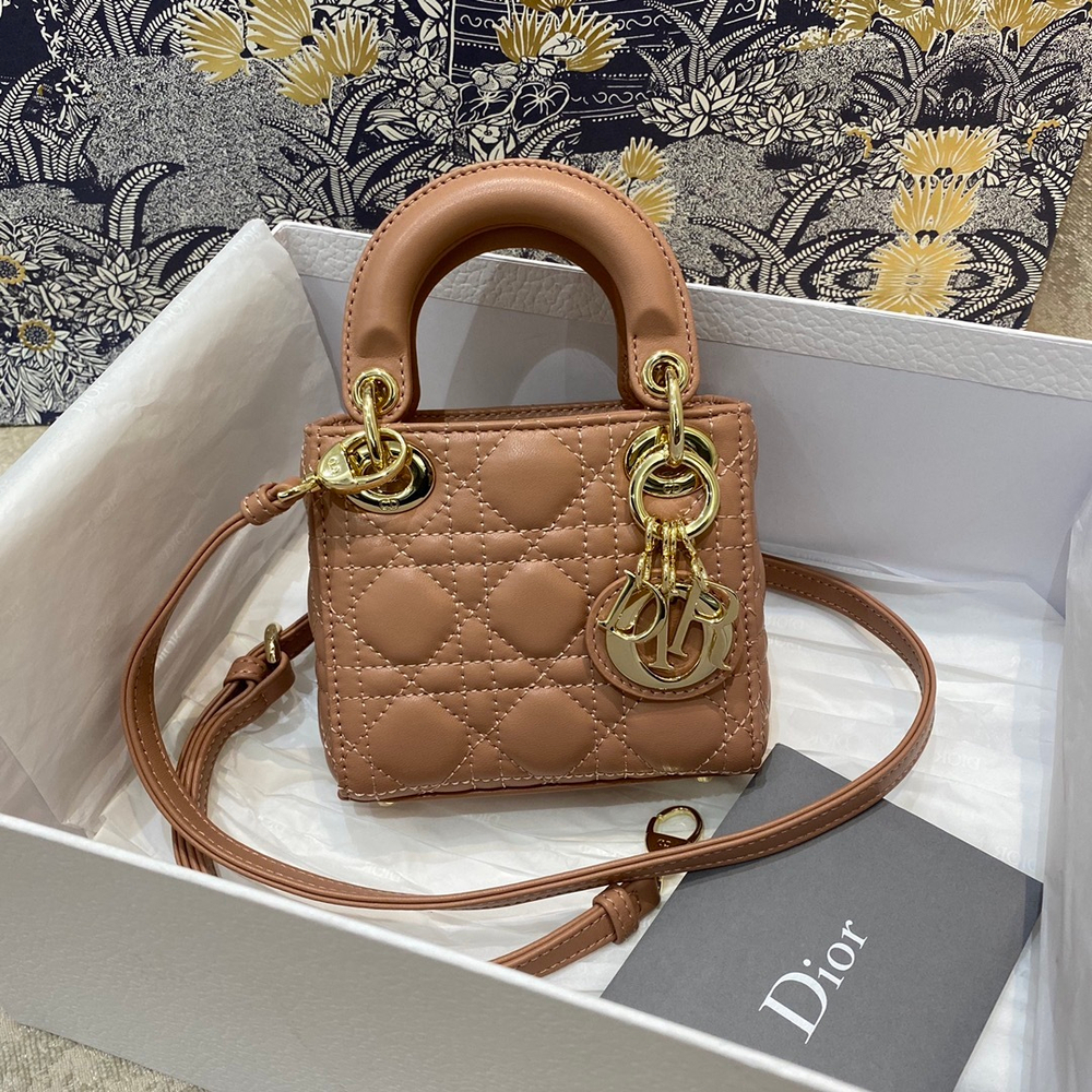 Christian Dior Lady Dior Micro