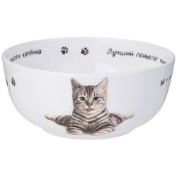 САЛАТНИК-ТАРЕЛКА СУПОВАЯ LEFARD "БЕРИ КОТА" 750 МЛ 15,5*6,5 СМ (КОР=36ШТ.)