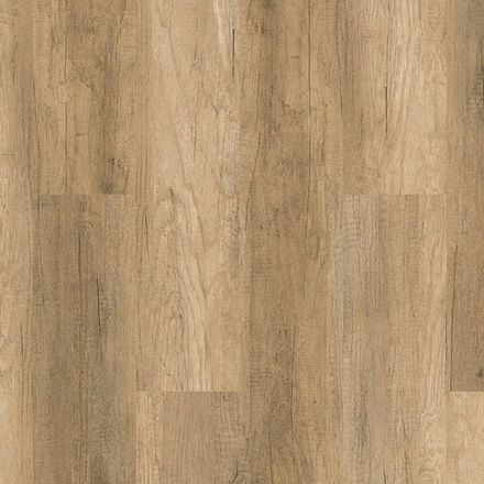 Design Concept Enzo 4006, 3,78 м²