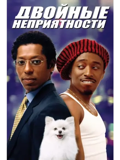 Двойные неприятности (2001) (DVD-R)