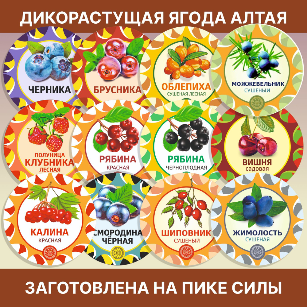 Лимонник китайский Осенний ягоды сушеные.