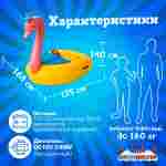 Электрическая лодка-катамаран «Лебедь» XL взрослая, 1+1