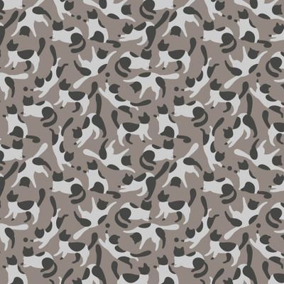 Кошачий камуфляж