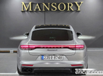 Porsche Panamera (971) 2.9 AWD Platinum Editions (08.2023)