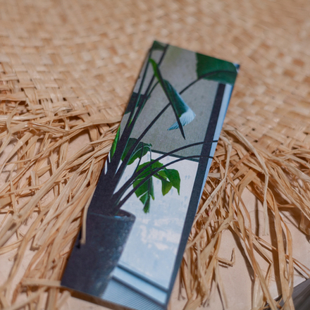 Закладка "Виды" 📚