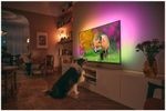 ЖК-телевизор PHILIPS 50PUS8519/60