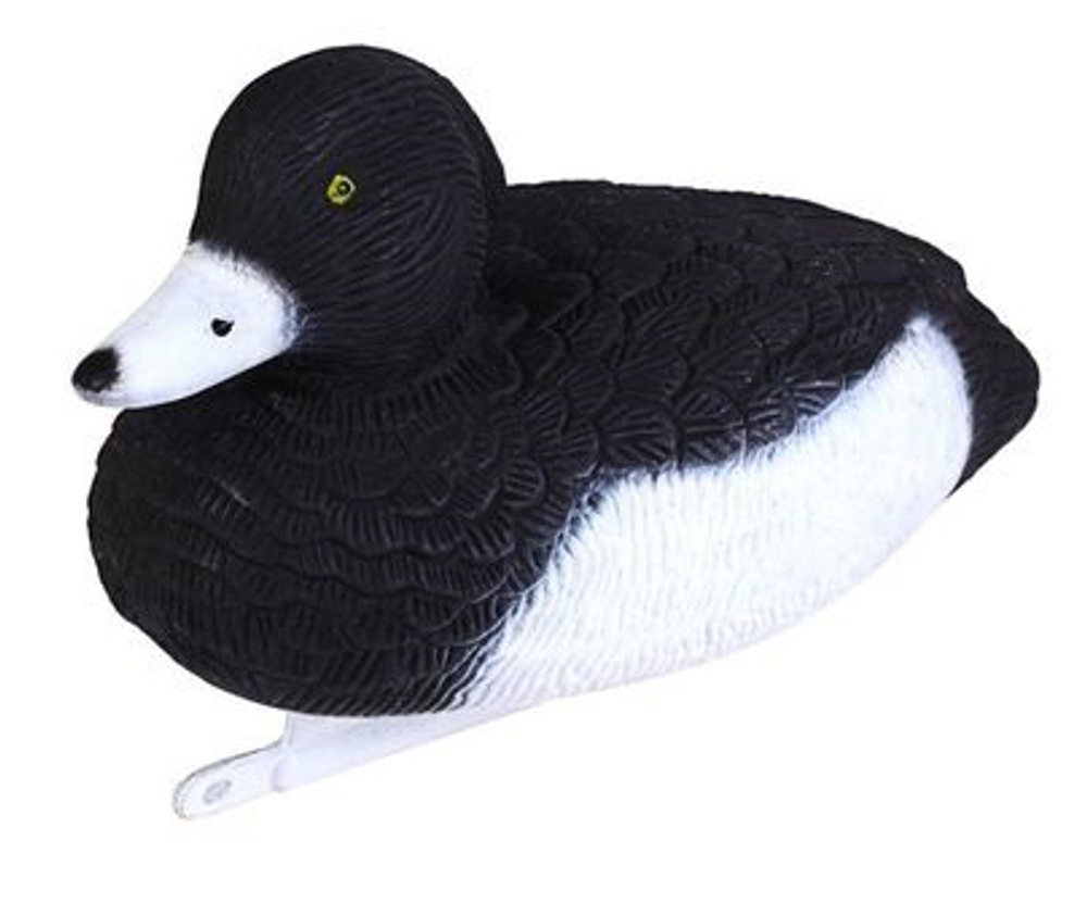 Чучело Чернеть хохлатая селезень,софтпласт