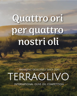 Оливковое масло PANTALEO Selezione Oro 100% Italiano EXTRA VIRGIN 0,5 л, Италия