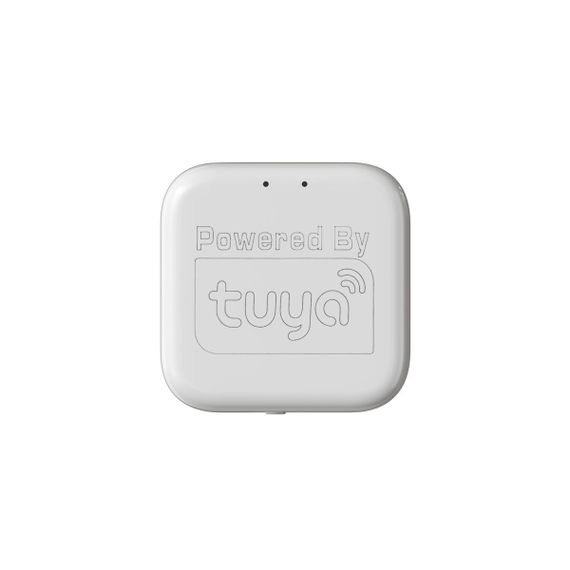 WIFI конвертер Denkirs Smart Control DK7400-WF