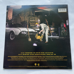 Винтажная виниловая пластинка LP Joe Walsh Got Any Gum (США 1987)