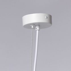 Подвесной светильник DeMarkt Астор 13 545014005