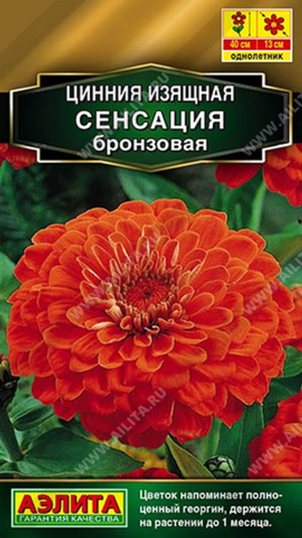 Цинния "G. Сенсация бронзовая" 12шт., Россия.