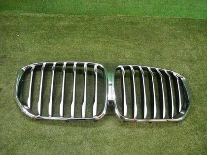 Решетка радиатора BMW X5 G05 (2018-2023)