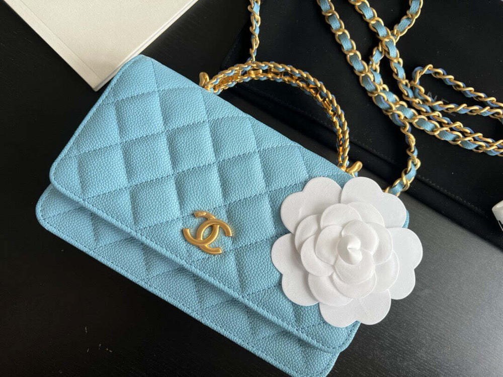Chanel Bag 19 cm