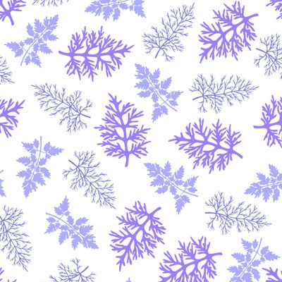Seamless pattern of leaves, herbarium. Parsley, dill, wormwood.