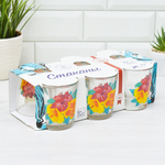 Набор стаканов "Гибискусы" 6шт 250мл (низкие)