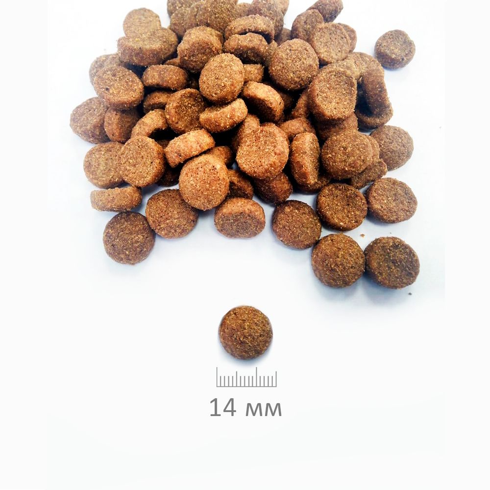 Уценка! Повр.упак. /Сухой корм Glance для взрослых собак всех пород с говядиной и овощами