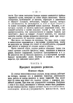 Шорное дело | Трутовский А. Е.