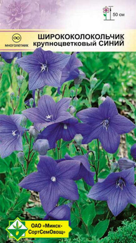 Ширококолокольчик "Синий" 0,1г., Германия.