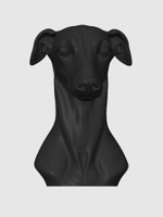 Борзая