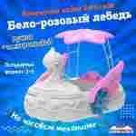 Семейная электрическая лодка-катамаран «Бело-розовый лебедь», 1+1