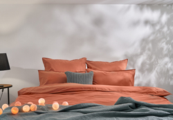 Постельное белье 1.5 спальное Luxberry Urban терракотовое