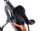 Maxiscoo JAZZ Pro 16'' (2025)