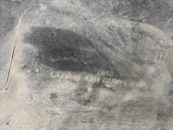 Бампер передний + юбка переднего бампера Hyundai Sonata 8 (DN8) 19-нв Б/У Оригинал 86511L1000