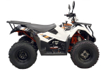 Квадроцикл KAYO AU300 Carb