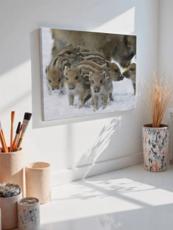 Картина на стену 40 X 50 Кабанята