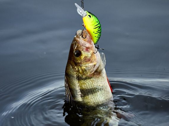 Воблер плавающий LJ ORIGINAL PILOT-X F 04.50/008