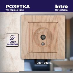 Розетка Intro Solo 4-301-11 TV одиночная, СУ, сосна