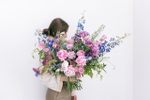 Сornflower