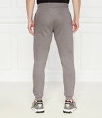 Спортивные штаны EA7 - пепельный(6DPP59 PJSHZ)