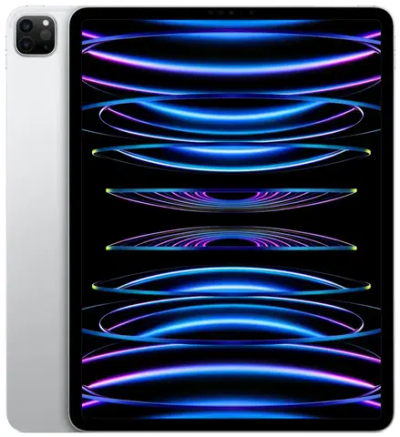 10.9 Apple iPad Pro (6th Gen) Wi-Fi Серый