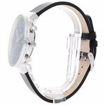 Мужские наручные часы Skagen SKW6417