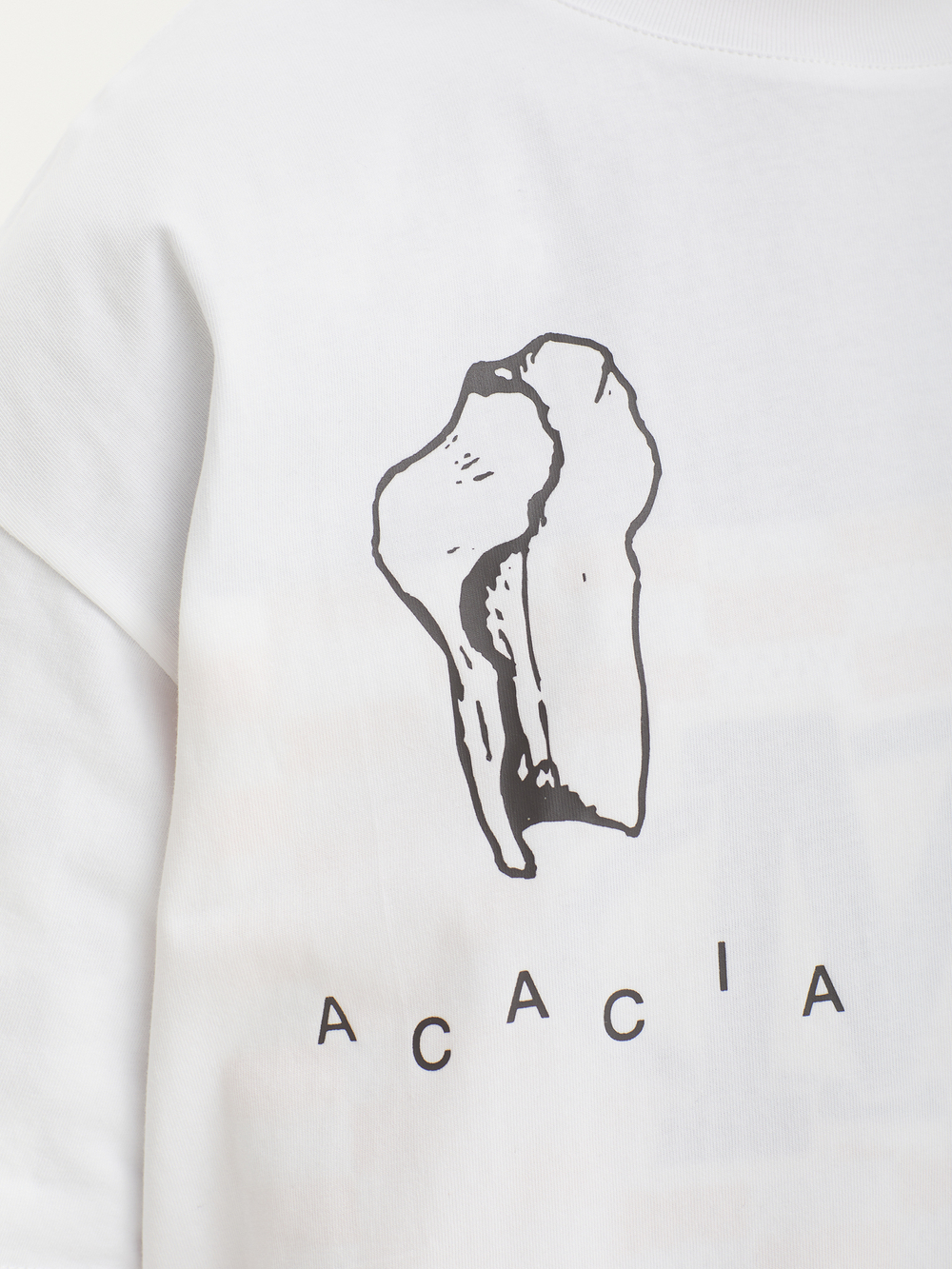Мужская Футболка Acacia