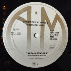 Винтажная виниловая пластинка LP Captain Sensible Wot (Holland 1982) Maxi Single