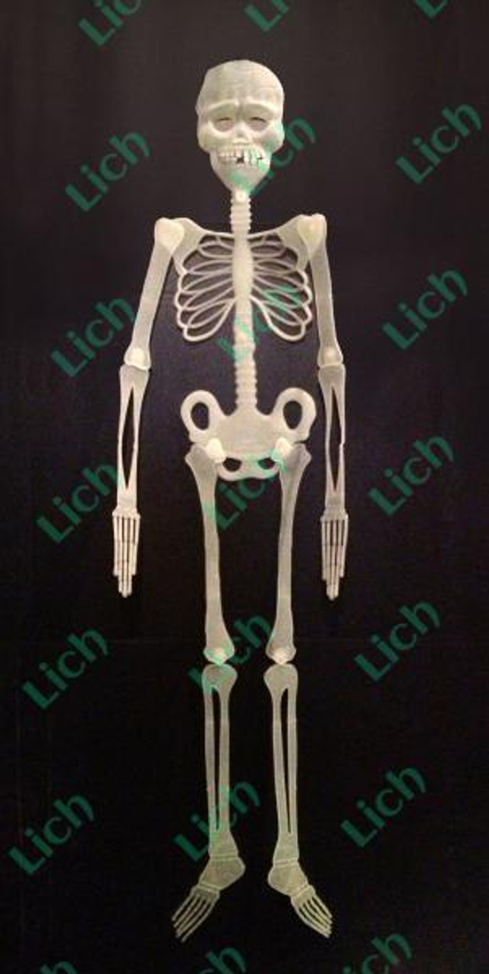 Скелет флуоресцентный