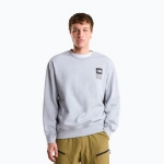 Свитшот The North Face Celebration Relaxed Crew Graphic light grey heather