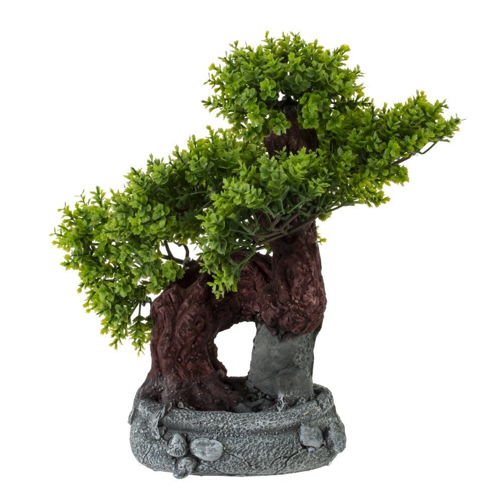 GAEM Цветочная композиция "Бонсай", L23 W21 H28 см, 2в.