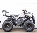Квадроцикл STALKER 125 FOX