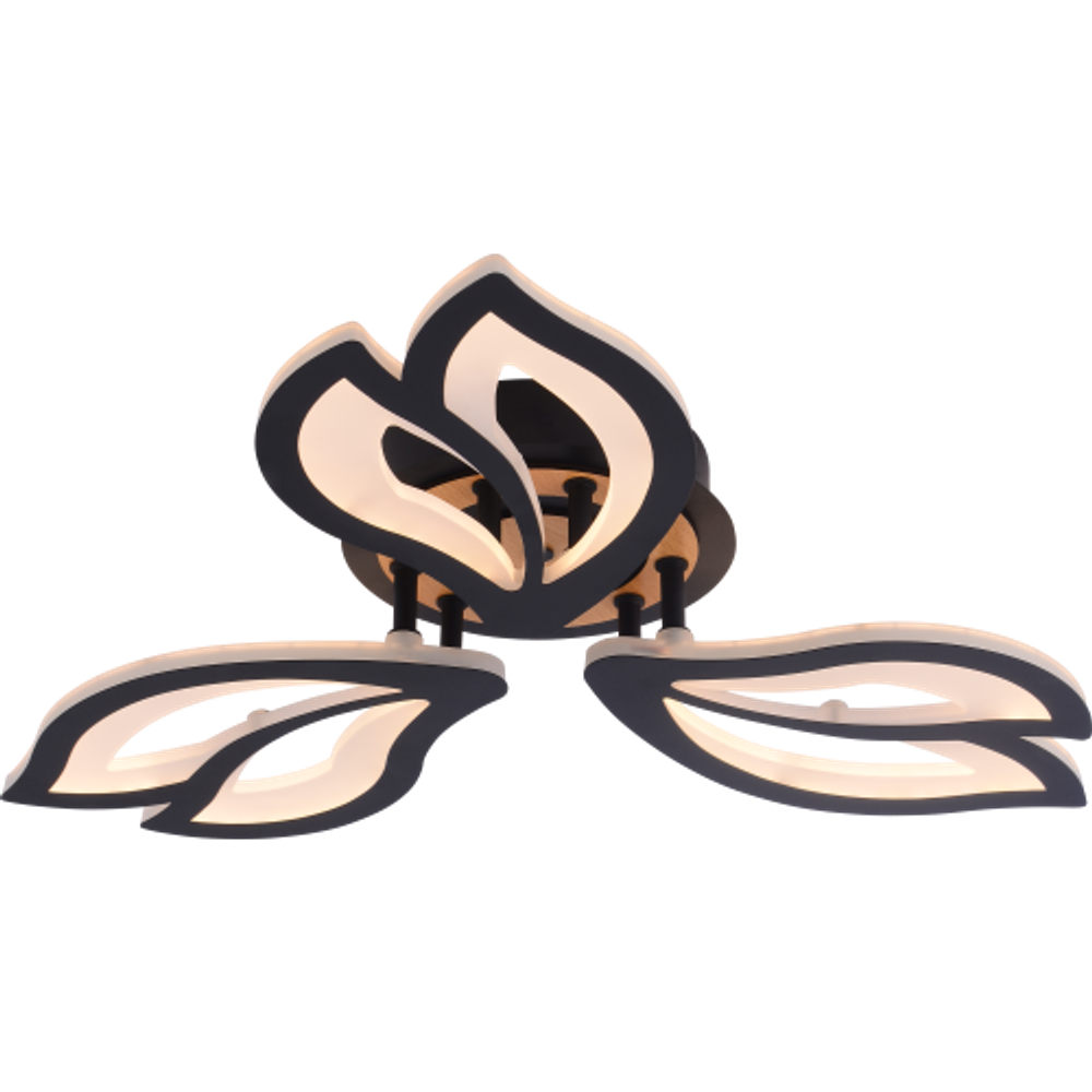 Светильник потолочный светодиодный Rivoli Lana 6195-703 LED 3000-6250К 60 Вт с пультом | Интерьерные светодиодные светильники