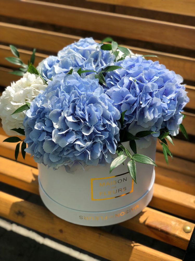 Голубые и белые гортензии в коробке Maison Des Fleurs