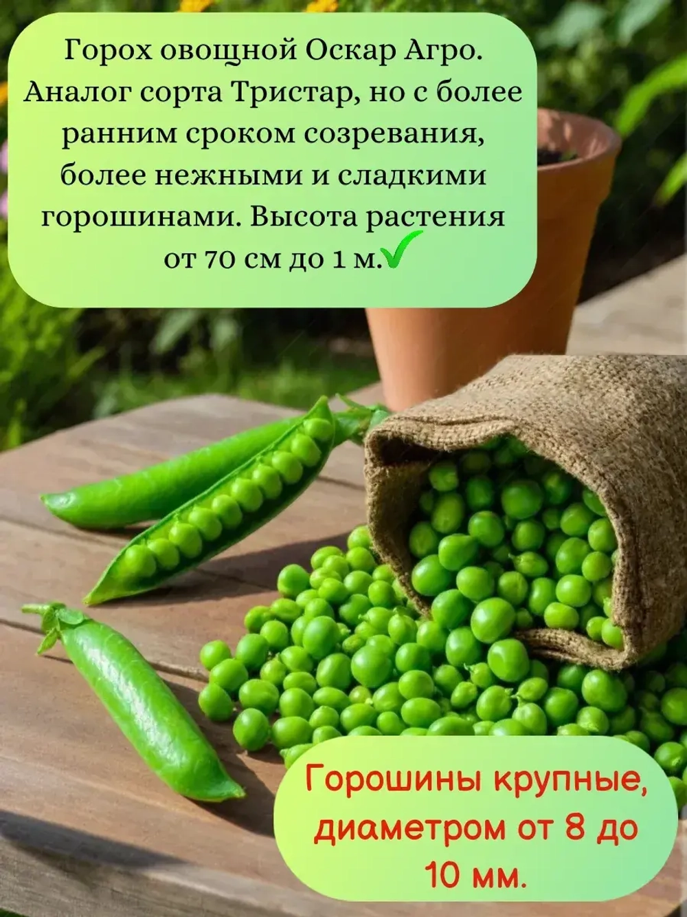 Семена Горох "Оскар Агро" 1 кг