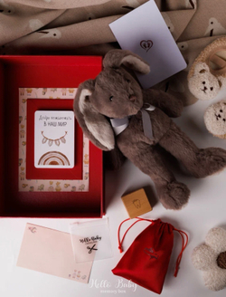 MemoryBox красный "Игрушка Зайка"