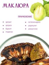 Маклюра (Адамово яблоко)